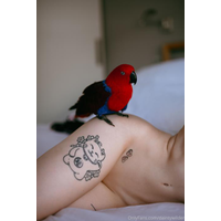 Dainty Wilder OnlyFans daintywilder-2020-08-07-93987174-Mumma what you doin - Candy-FzoFPdTb.jpg